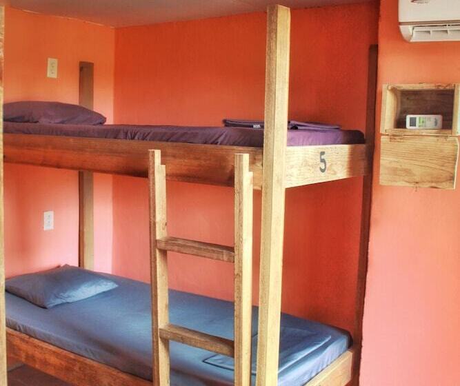 تختخواب در اتاق مشترک, Twin Fin Hostels