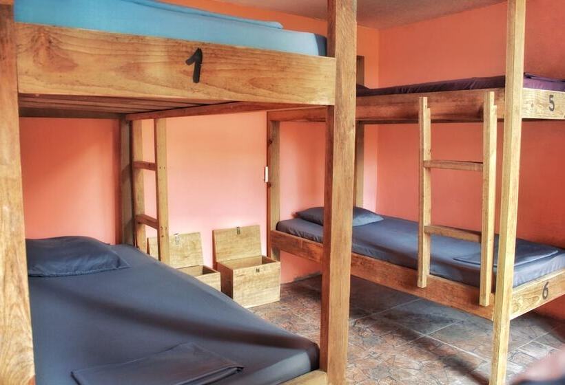 تختخواب در اتاق مشترک, Twin Fin Hostels