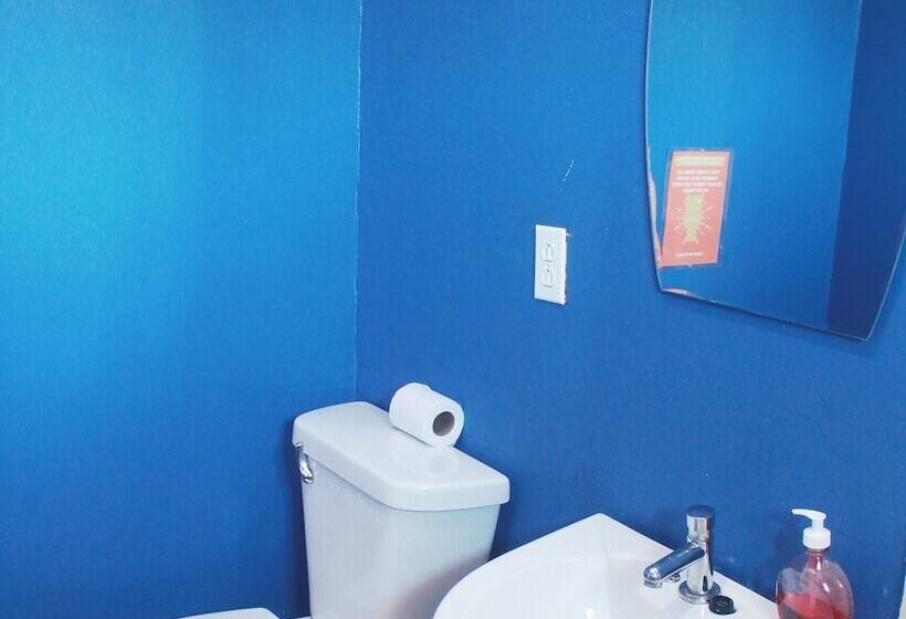 اتاق لوکس, Twin Fin Hostels