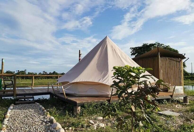 デラックスルーム, Tiuma Park