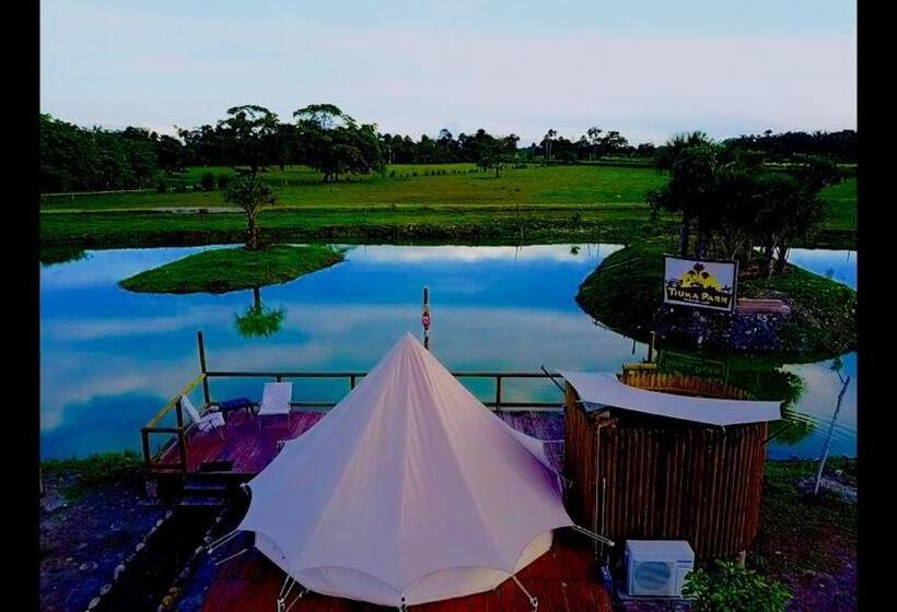 デラックスルーム, Tiuma Park