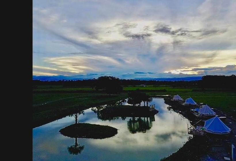 デラックストリプルルーム, Tiuma Park