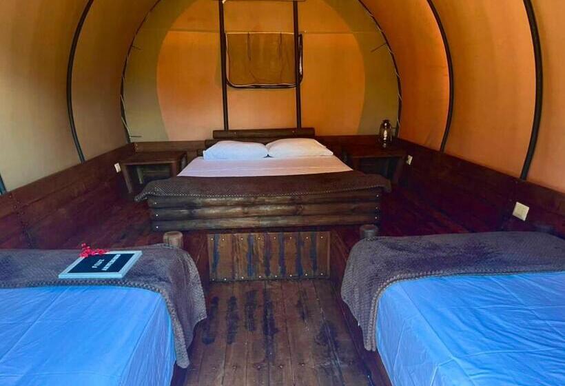 コンフォートトリプルルーム, Tiuma Park