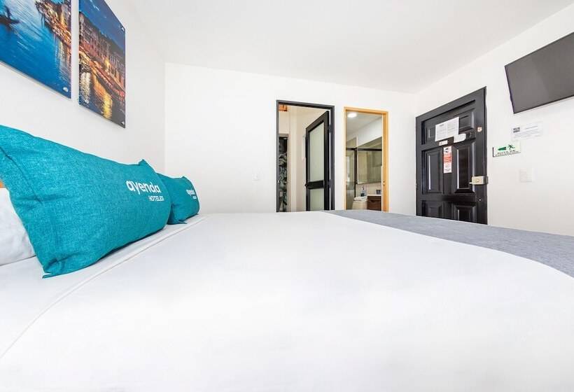 غرفة قياسية, Ayenda Olimpo La 47