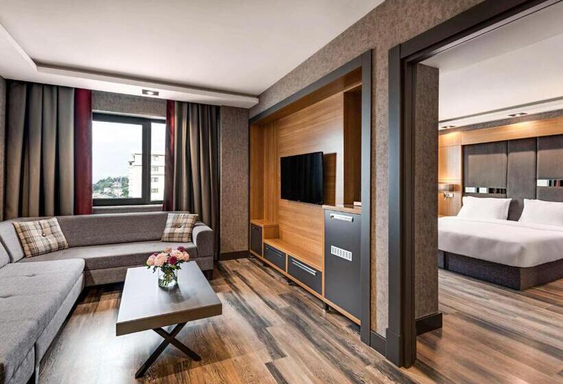 سوییت خانوادگی, Mövenpick Hotel Trabzon