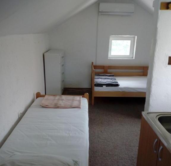 اتاق استاندارد با سرویس بهداشتی مشترک, Setenčić