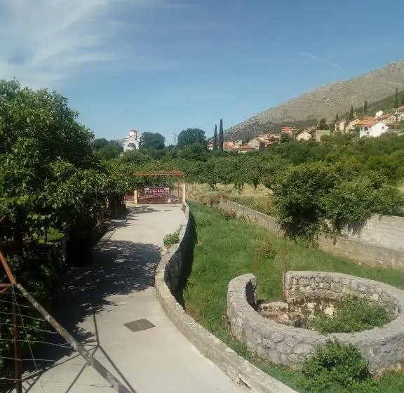 اتاق استاندارد یک نفره, Setenčić
