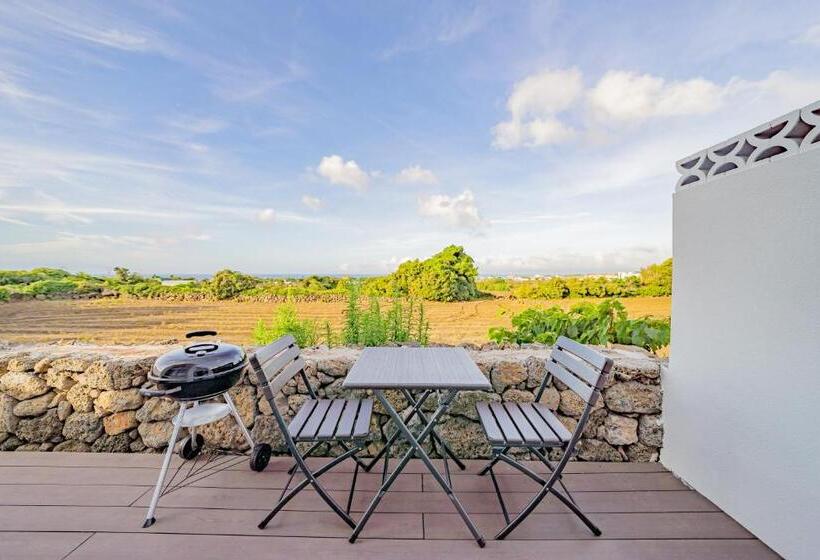 Студия Стандарт, Jeju Geunalohu Pension