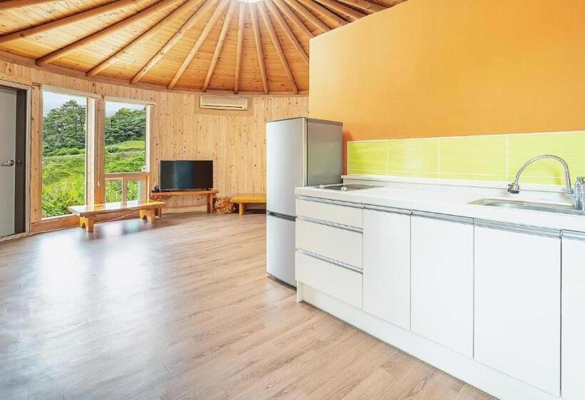 Студия Стандарт, Taean Todamgil Pension