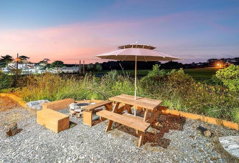 Студия Стандарт, Taean Todamgil Pension