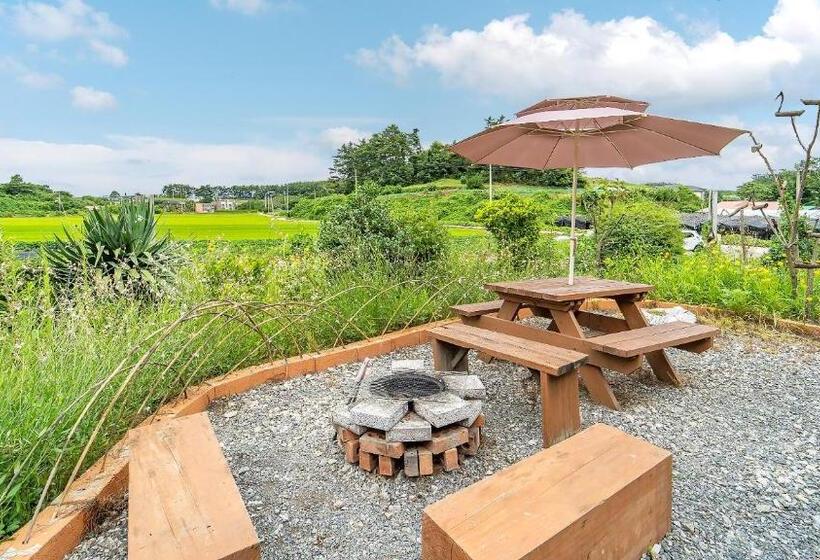 Студия Стандарт, Taean Todamgil Pension