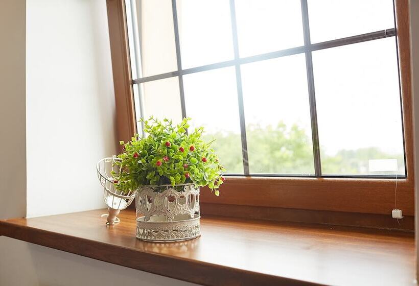 اتاق لوکس, Coin