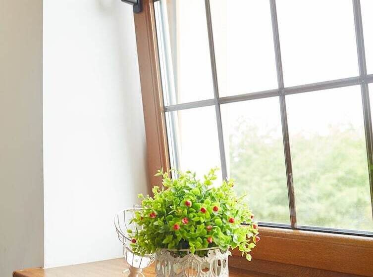 اتاق لوکس, Coin