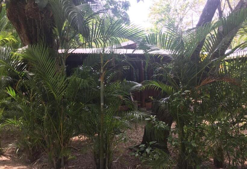 Вилла 1 Спальня Вид на Сад, Mal Pais Surf Camp