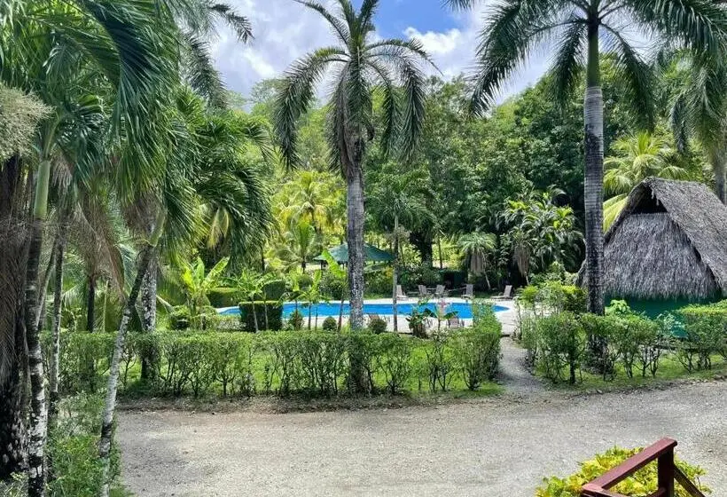خانه 1 خوابه, Mal Pais Surf Camp