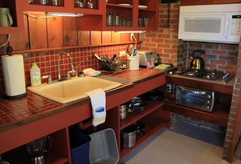 اتاق استاندارد با چشمانداز کوهستان, El Yunque Rainforest Inn