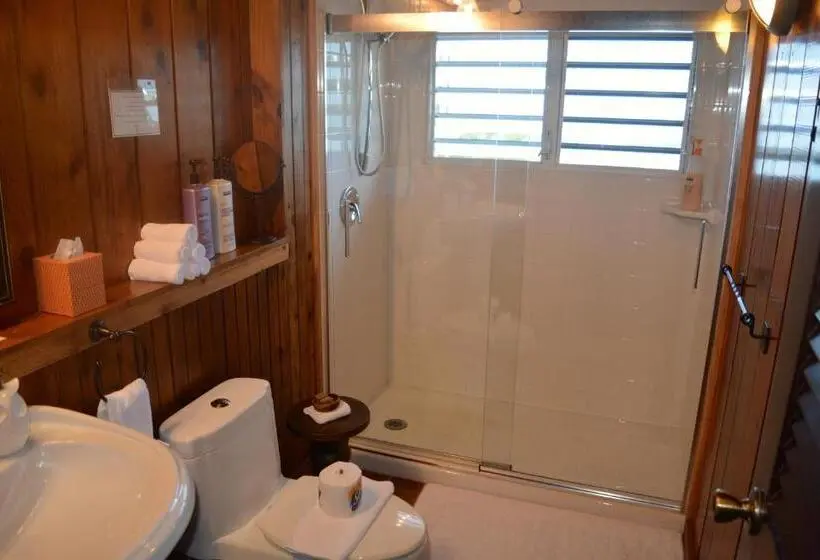 اتاق استاندارد با چشم‌انداز کوهستان, El Yunque Rainforest Inn