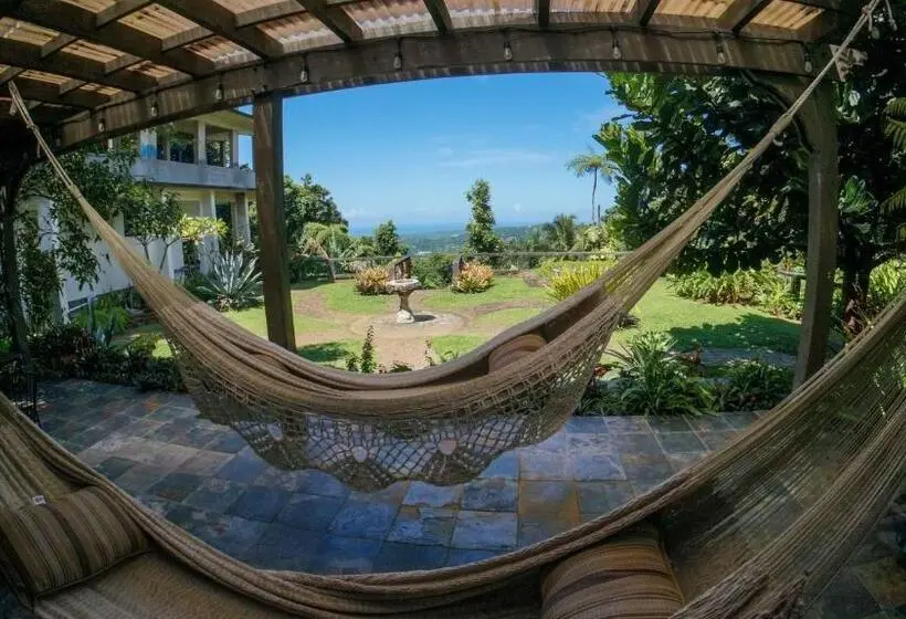 اتاق لوکس با چشم‌انداز دریا, El Yunque Rainforest Inn
