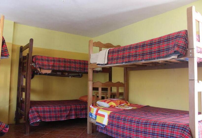 מיטה בחדר משותף, Caroline Lodging