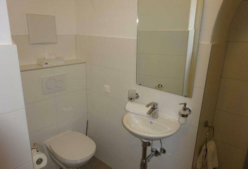 غرفة قياسية فردية, Widhof   Check In Im Hotel Nibelungenhof