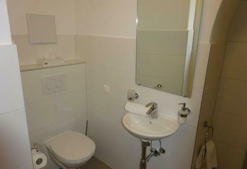 Standard Yhden Hengen Huone, Widhof Check In Im Hotel Nibelungenhof