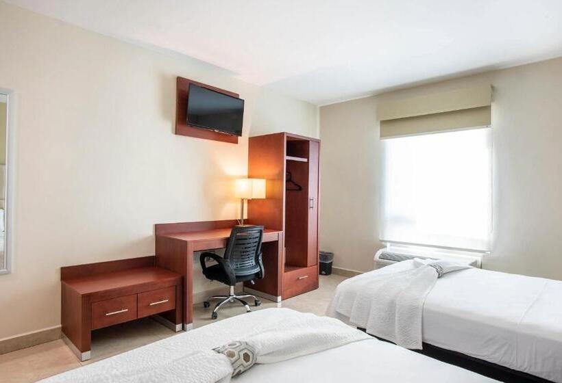 디럭스 룸, Ave Inn