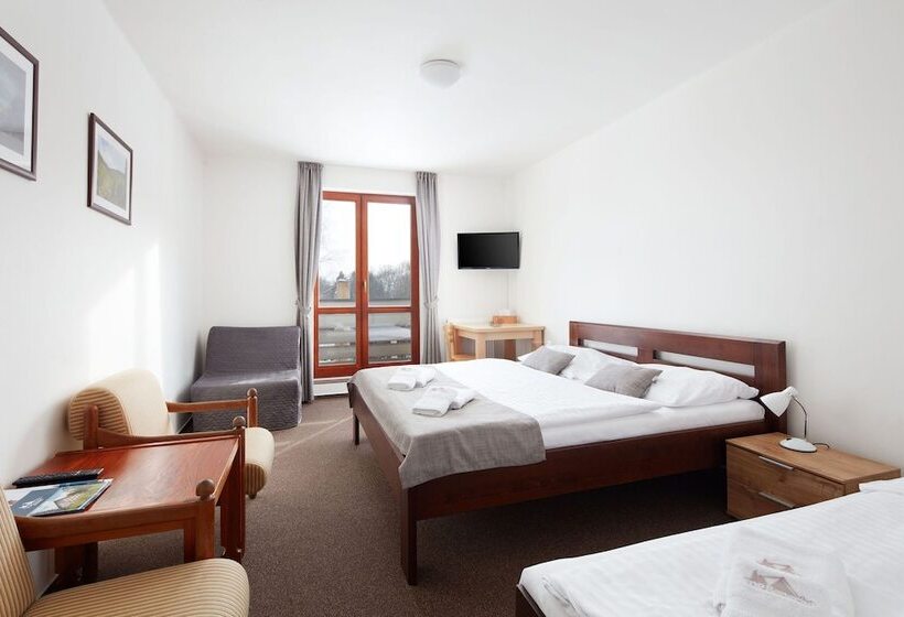 Номер Стандарт Трехместный, Profamily Hotel Top Benecko