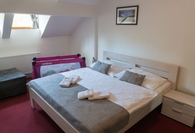 Номер Стандарт, Profamily Hotel Top Benecko