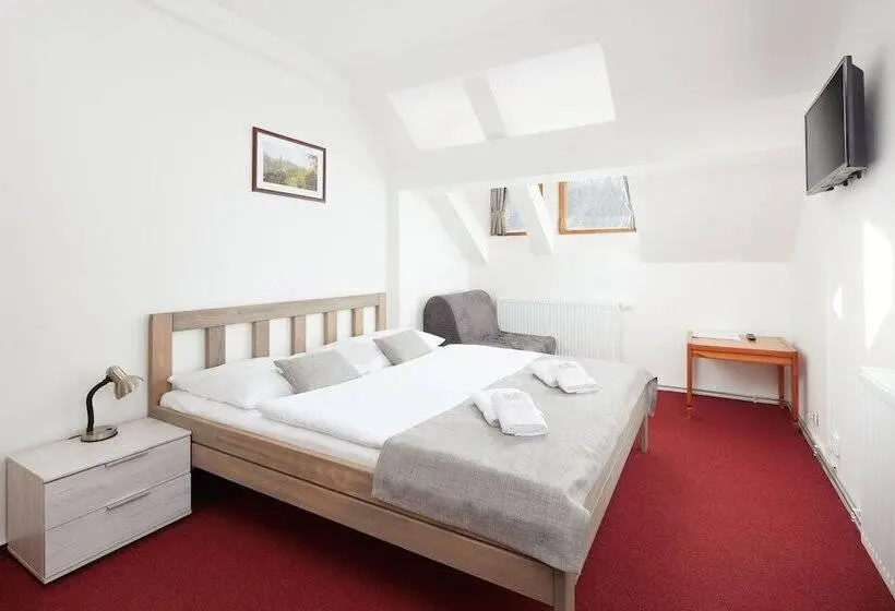Camera Standard, Profamily Hotel Top Benecko