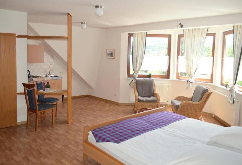 شقة غرفة واحدة, Locvillare