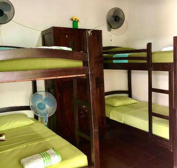 공동 객실, Casa Lula León Hostal