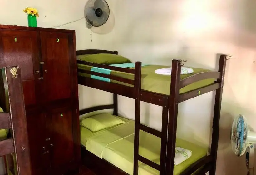 ルームシェアのワンベッド, Casa Lula León Hostal