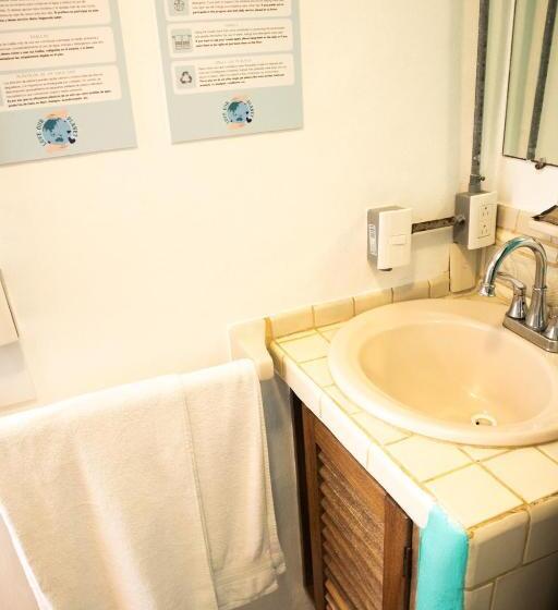 إستوديو قياسى, Sayulita Central