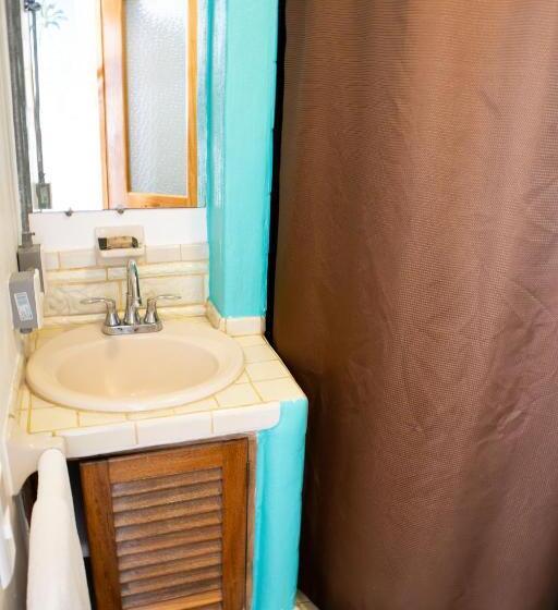 إستوديو قياسى, Sayulita Central