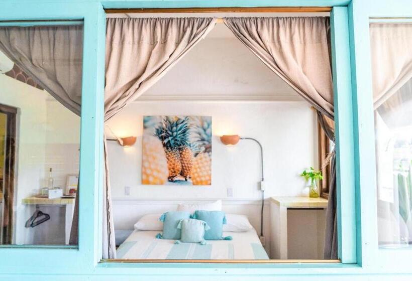 غرفة قياسية, Sayulita Central