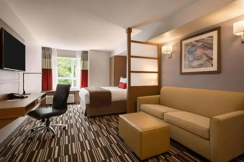 اتاق کلاس بیزنس, Microtel Inn & Suites By Wyndham Oyster Bay Ladysmith