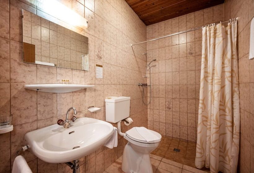 スタンダードルーム, Alpenhotel Edelweiss