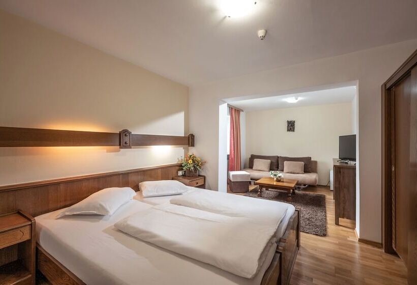 スタンダードルーム, Alpenhotel Edelweiss