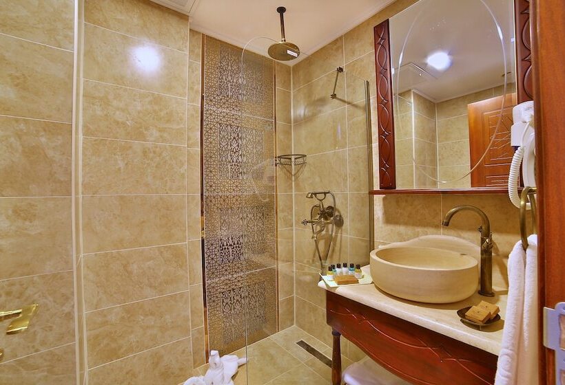 اتاق استاندارد, Kaya Ninova