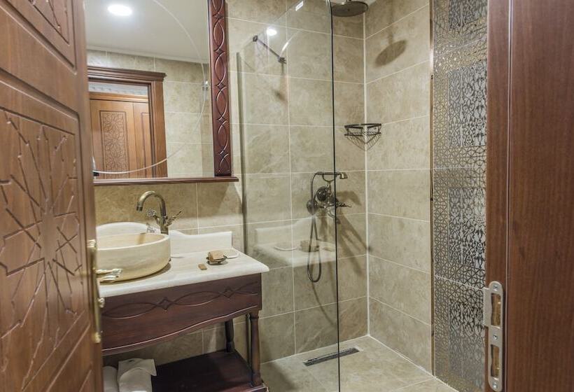 اتاق استاندارد, Kaya Ninova