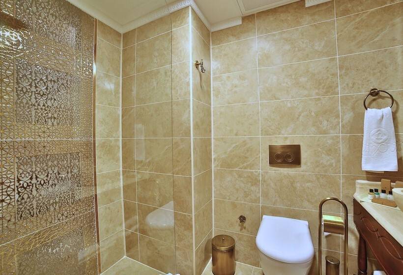 اتاق استاندارد سه نفره, Kaya Ninova