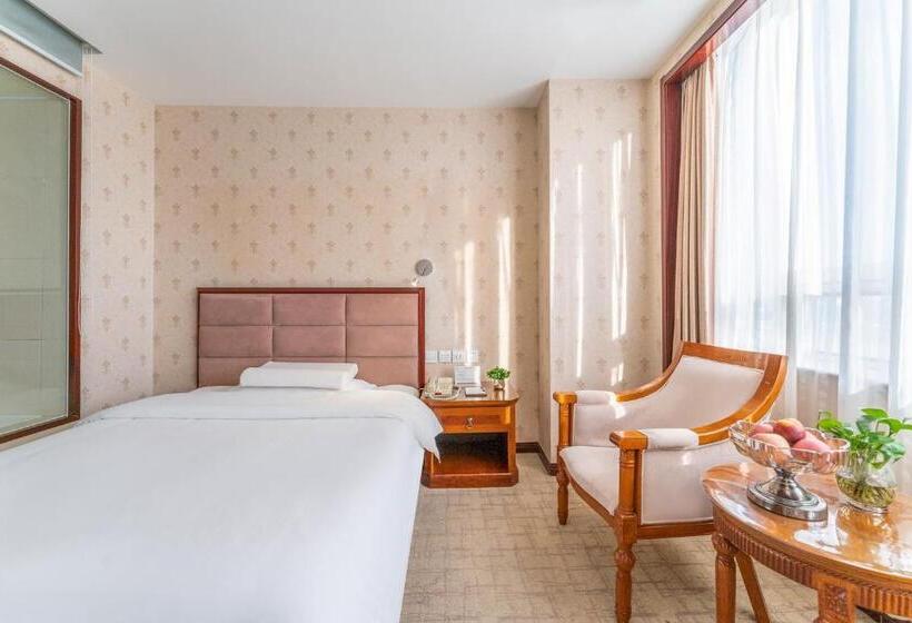 ベーシックルーム, Baoding Zhong Yin