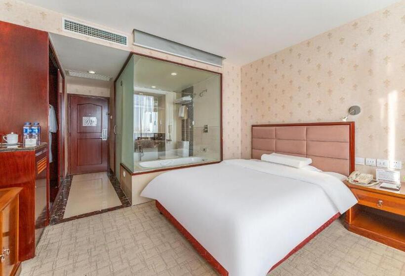 ベーシックルーム, Baoding Zhong Yin