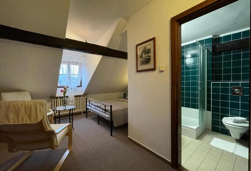 חדר קלאסי, Penzion Landauer