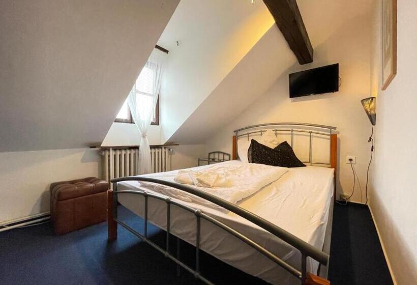 חדר קלאסי, Penzion Landauer