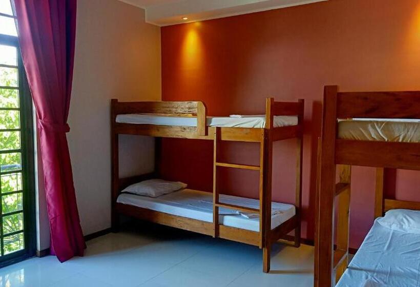 Семейный Номер, Answer