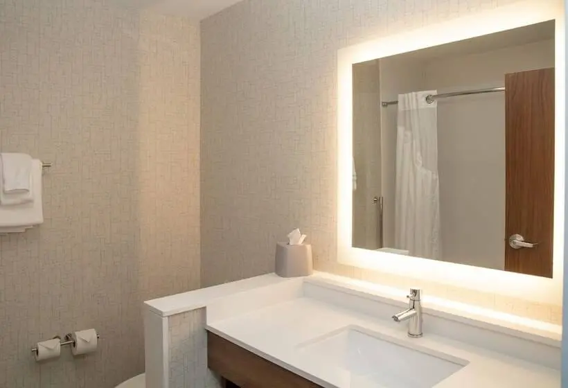スイート, Holiday Inn Express & Suites   Marion, An Ihg