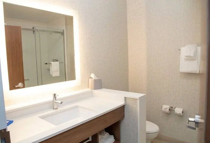 スイート, Holiday Inn Express & Suites   Marion, An Ihg