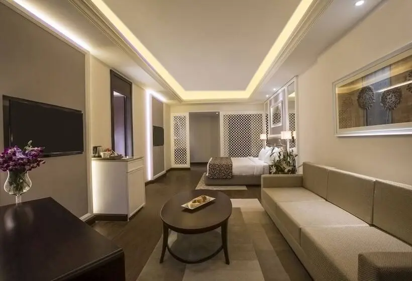 ジュニアスイート, Singhania Sarovar Portico
