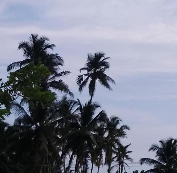 חדר אקונומי, Dolphin Cottage Mirissa